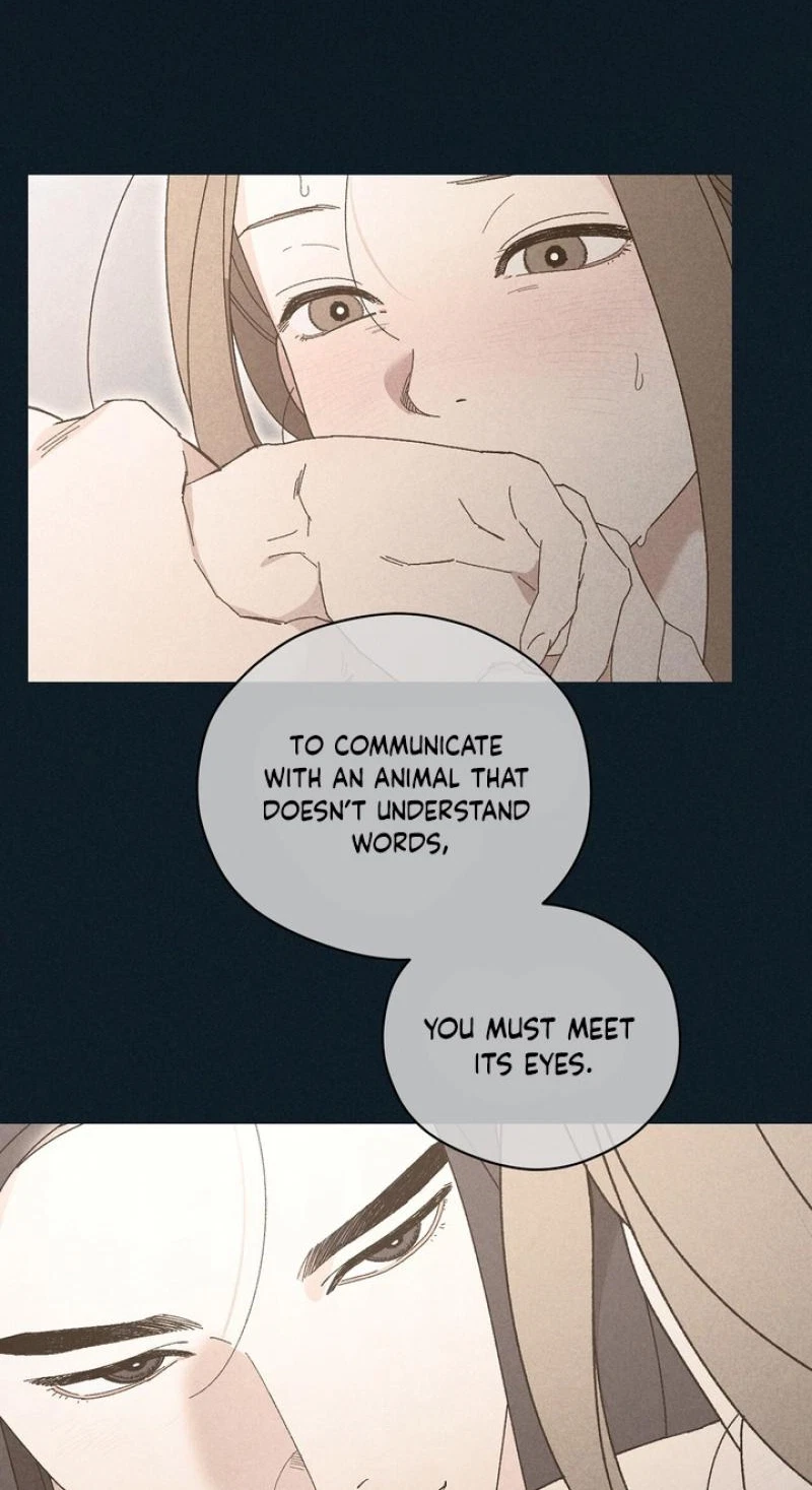 Chapter 31, page 19