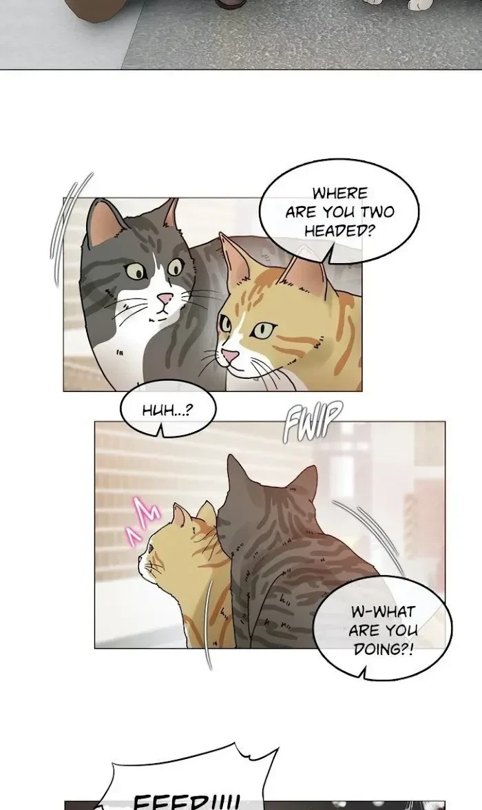 Chapter 114.1, page 10