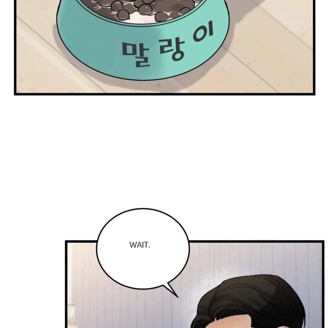 Chapter 15, page 15