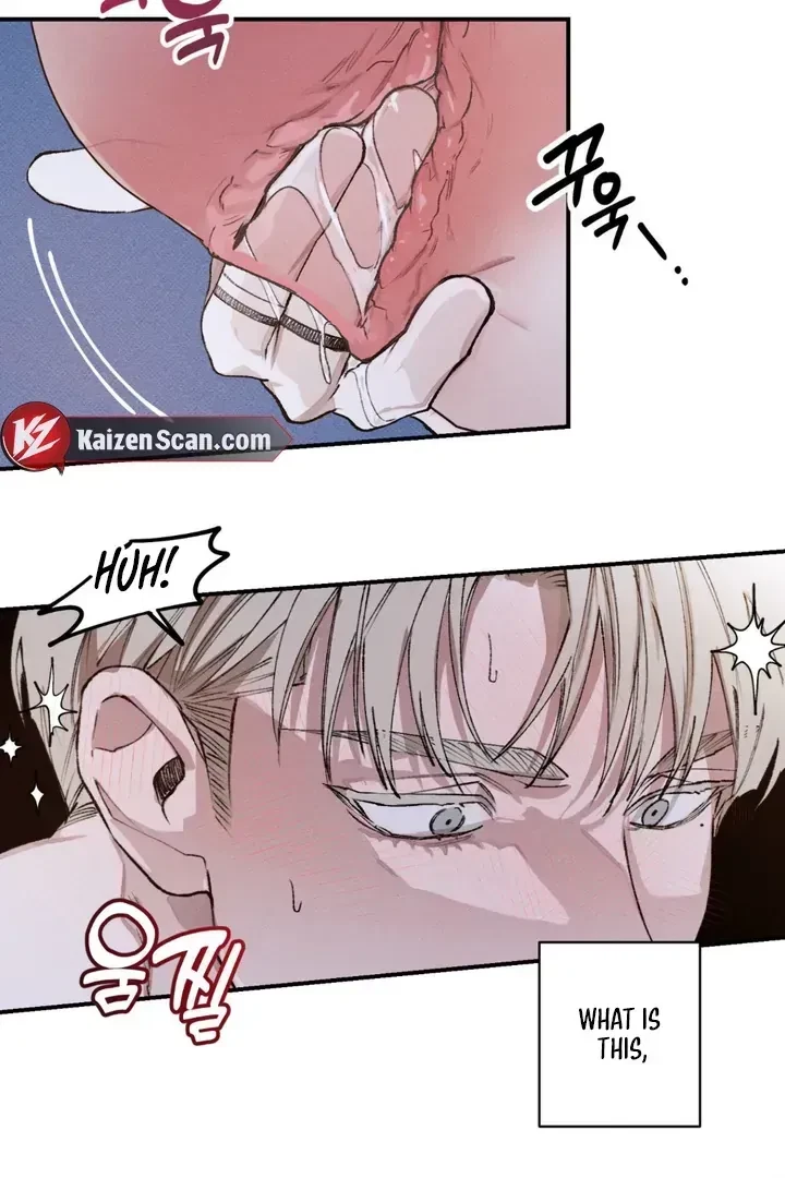 Chapter 4.2, page 46