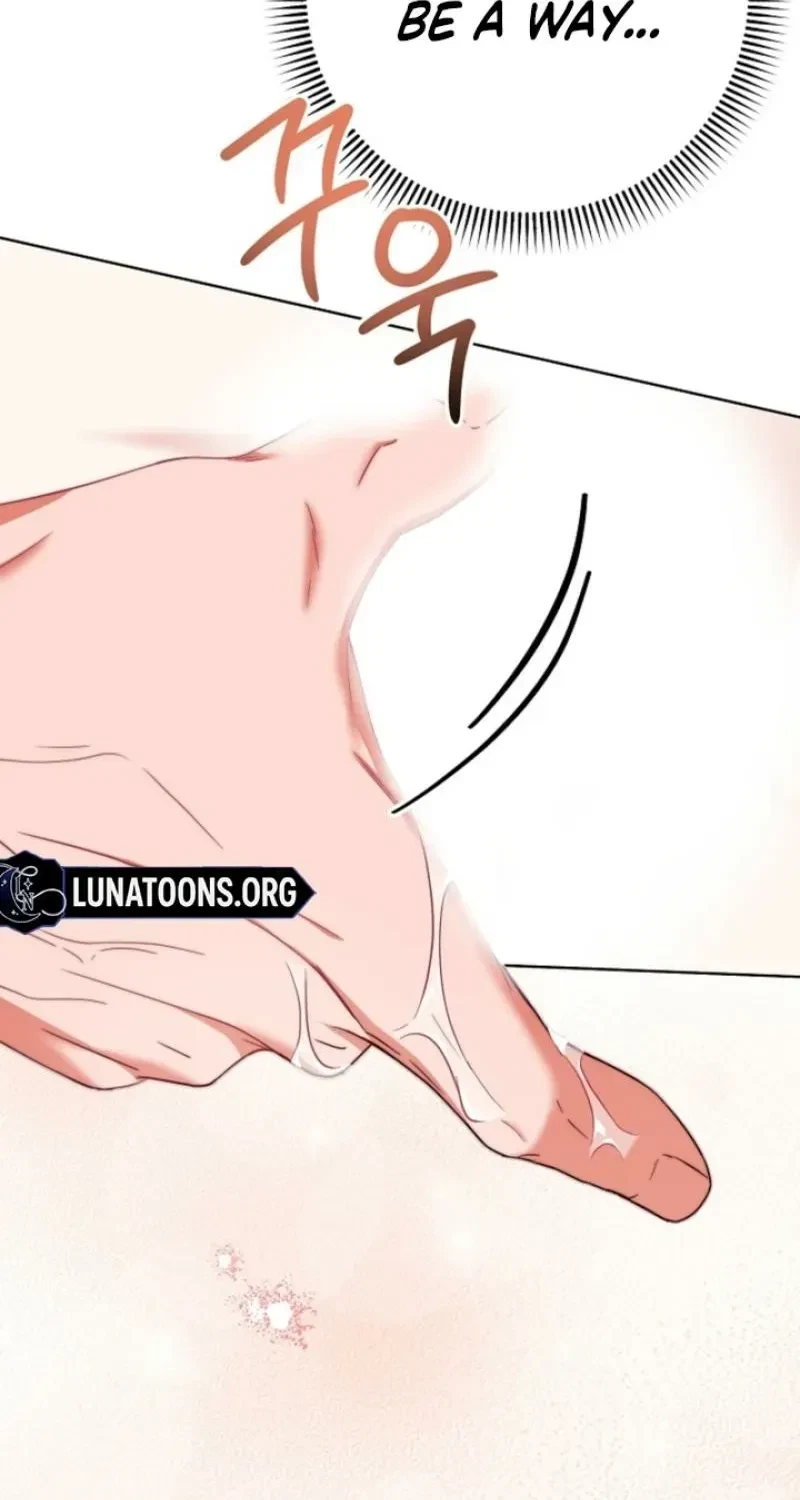 Chapter 3, page 66
