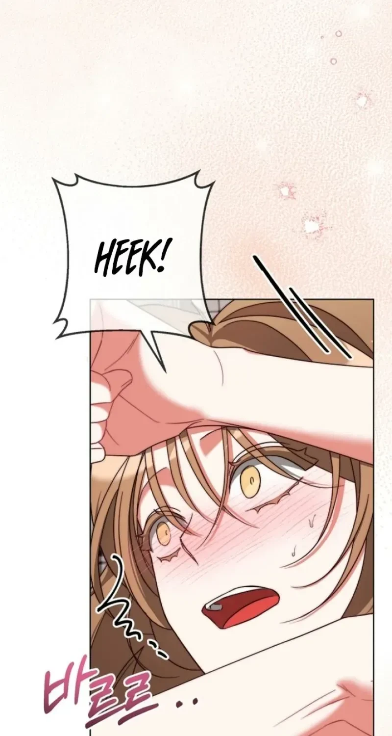 Chapter 3, page 67