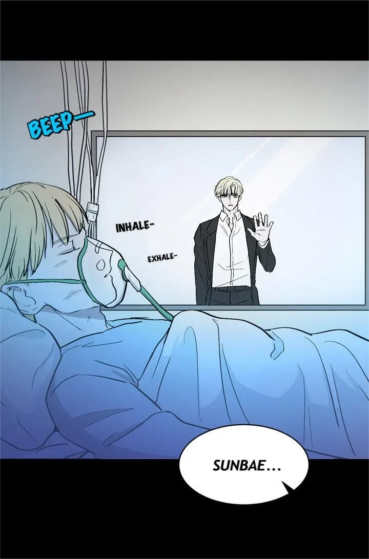 Chapter 2, page 46