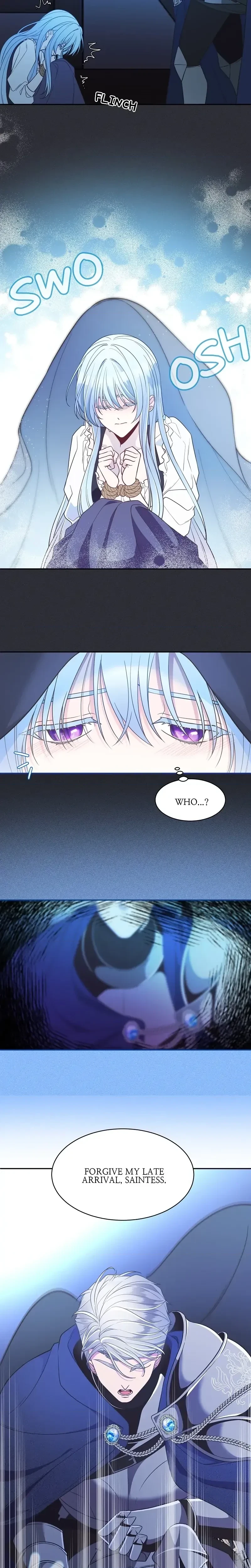 Chapter 1, page 11