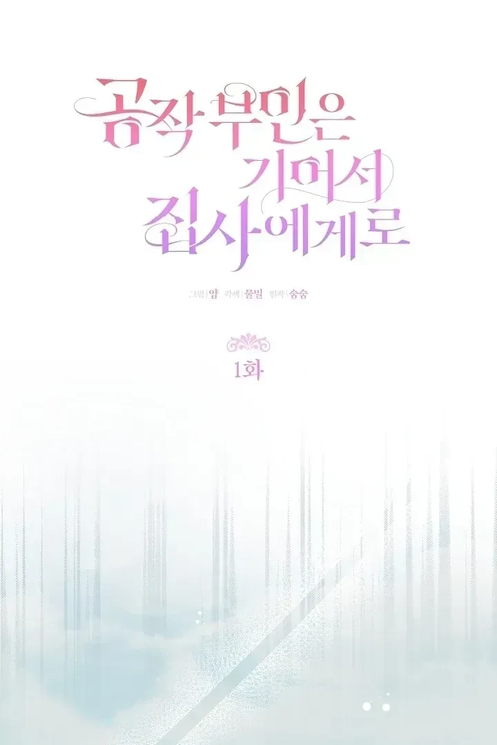 Chapter 1.1, page 28