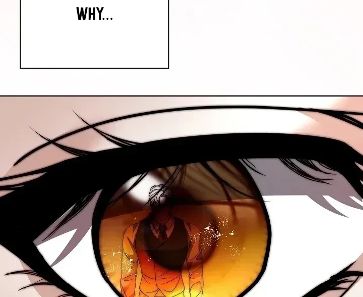Chapter 1.1, page 52