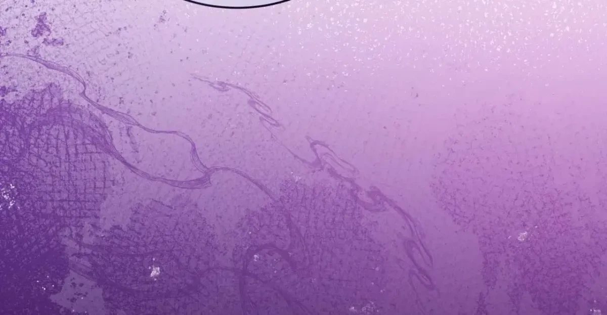 Chapter 14, page 86