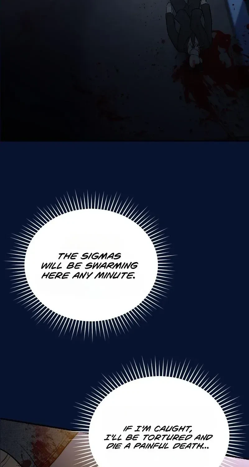 Chapter 3, page 95