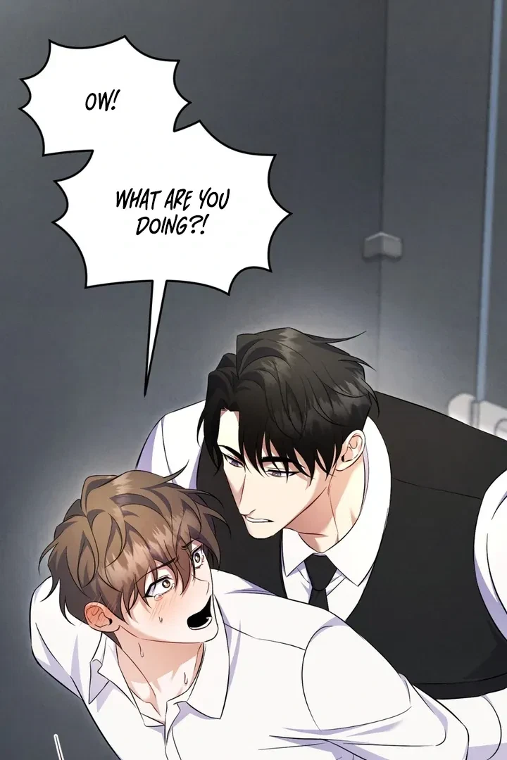 Chapter 2, page 98
