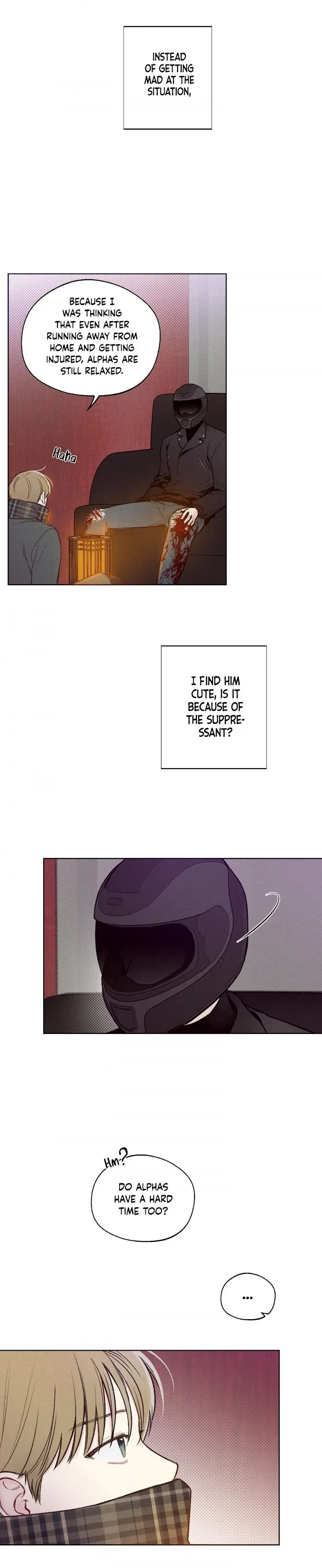 Chapter 1, page 20