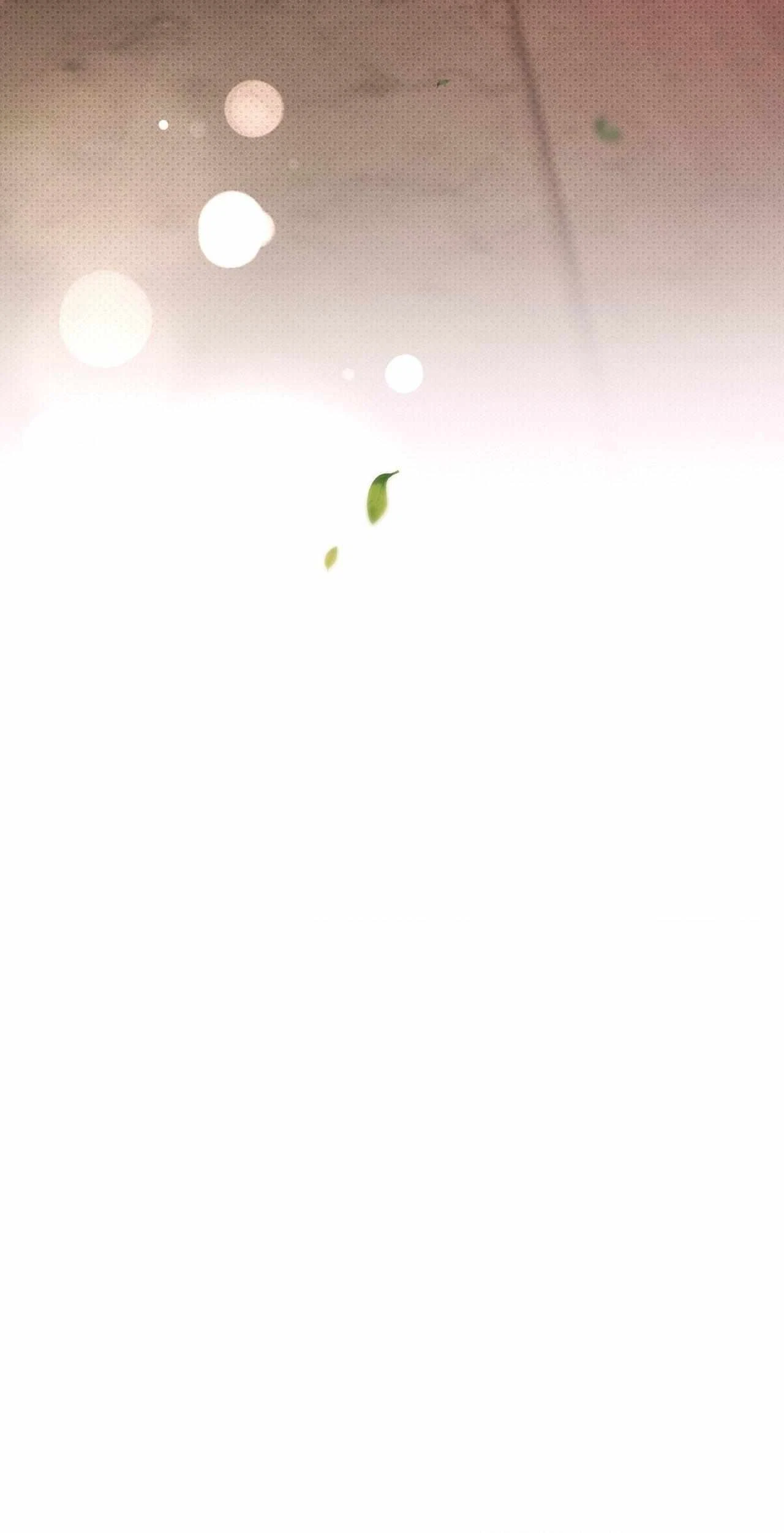 Chapter 21, page 101