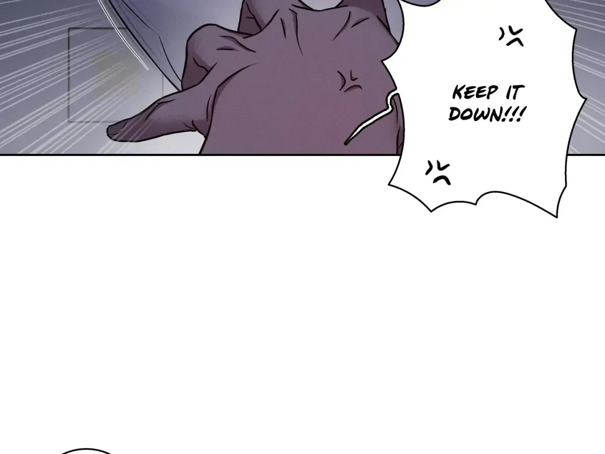 Chapter 1.3, page 11