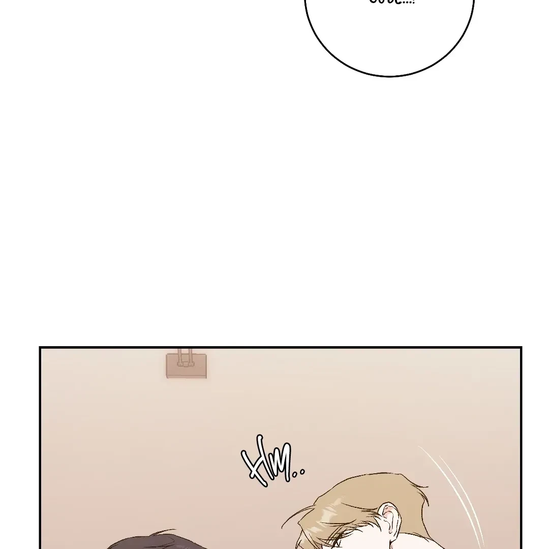 Chapter 5.1, page 119