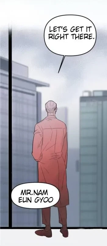 Chapter 2, page 13