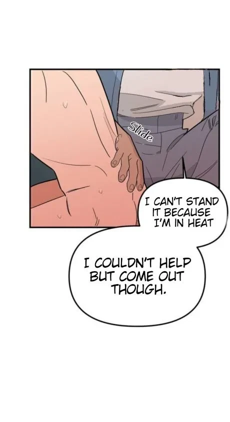 Chapter 2, page 21