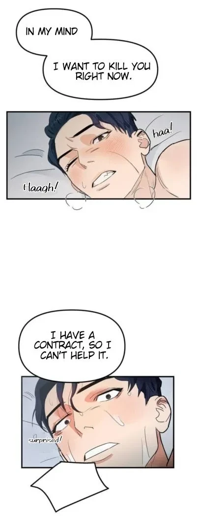 Chapter 2, page 27