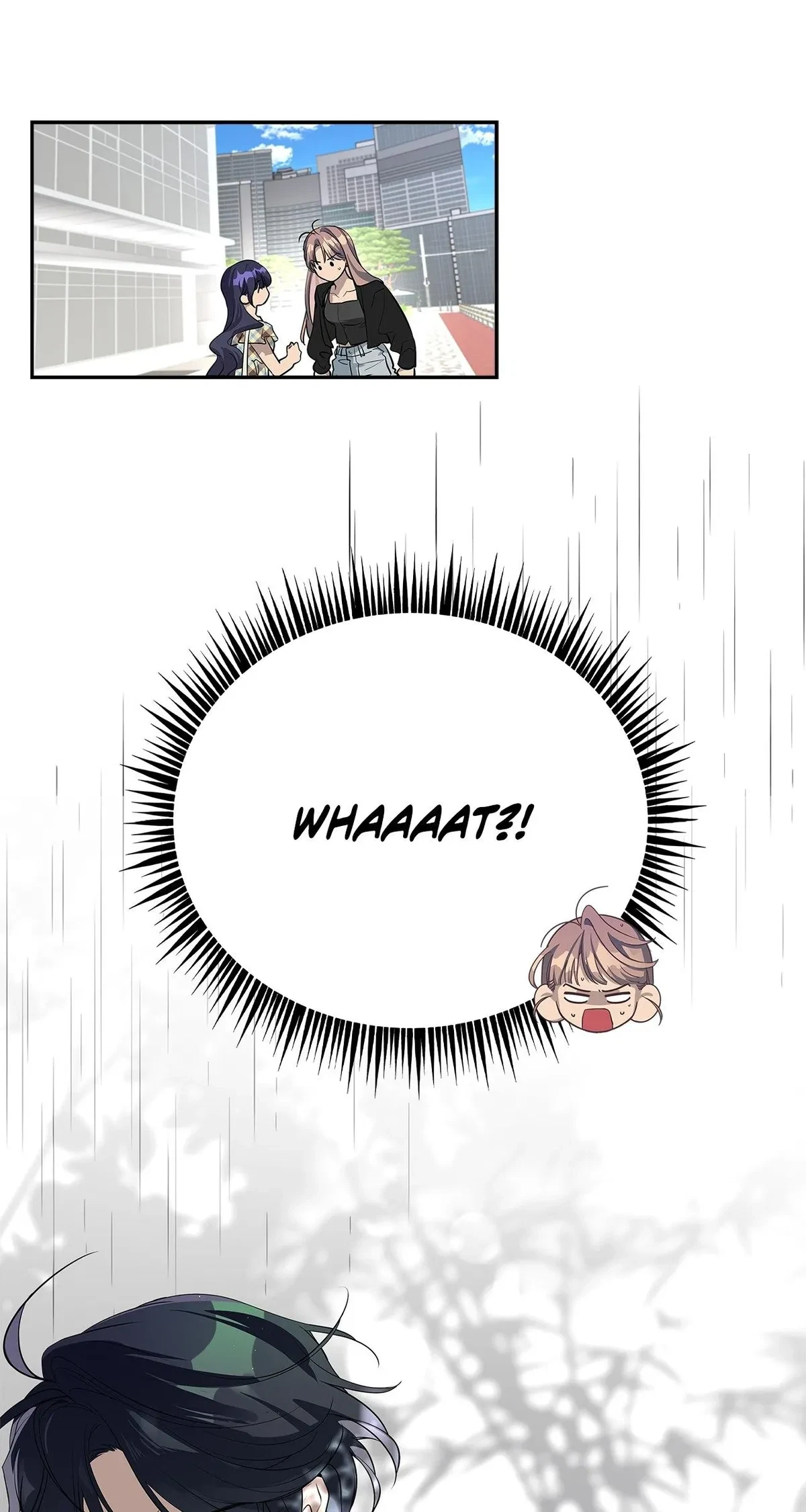 Chapter 3, page 66