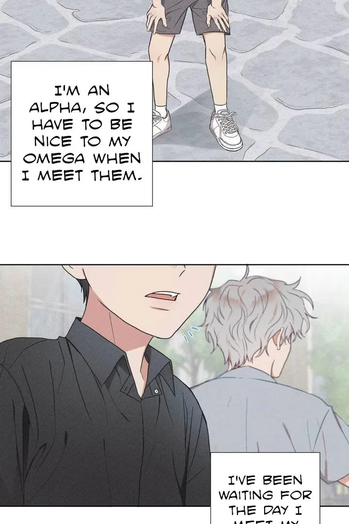 Chapter 1, page 4