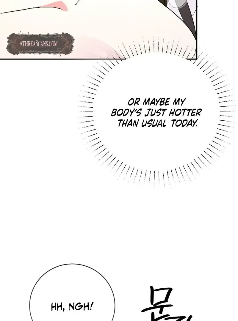 Chapter 1.1, page 11