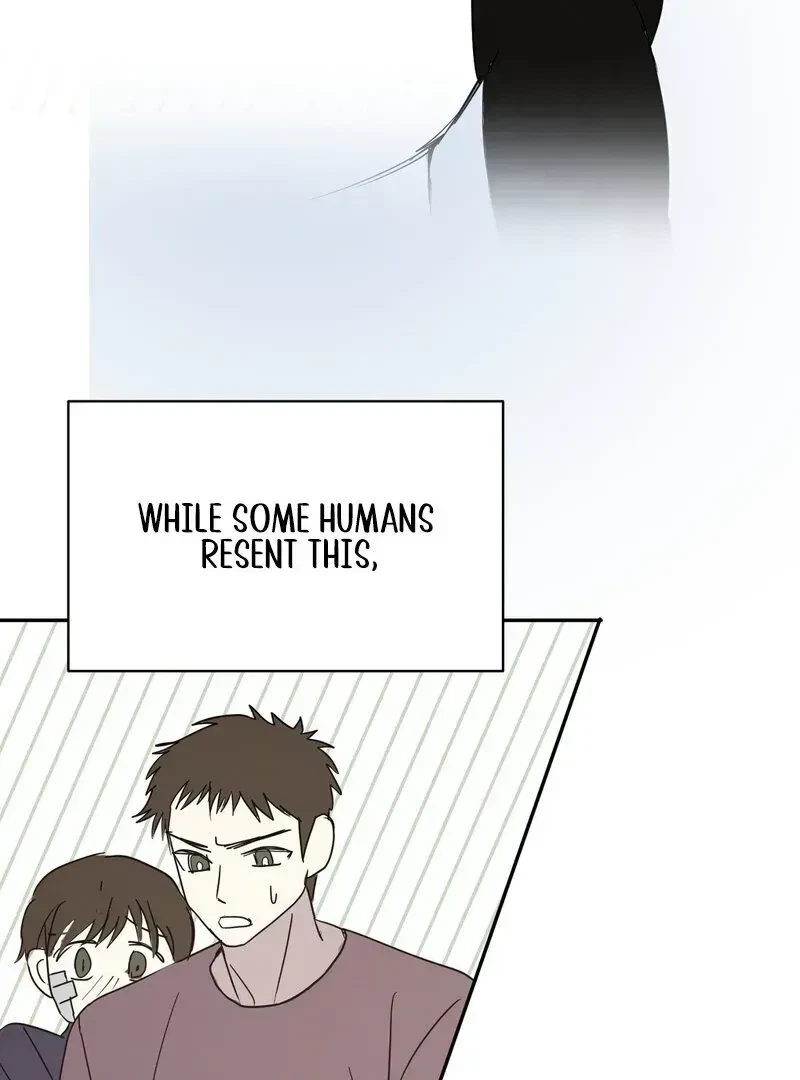 Chapter 1.1, page 46