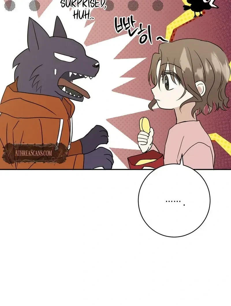 Chapter 1.1, page 52