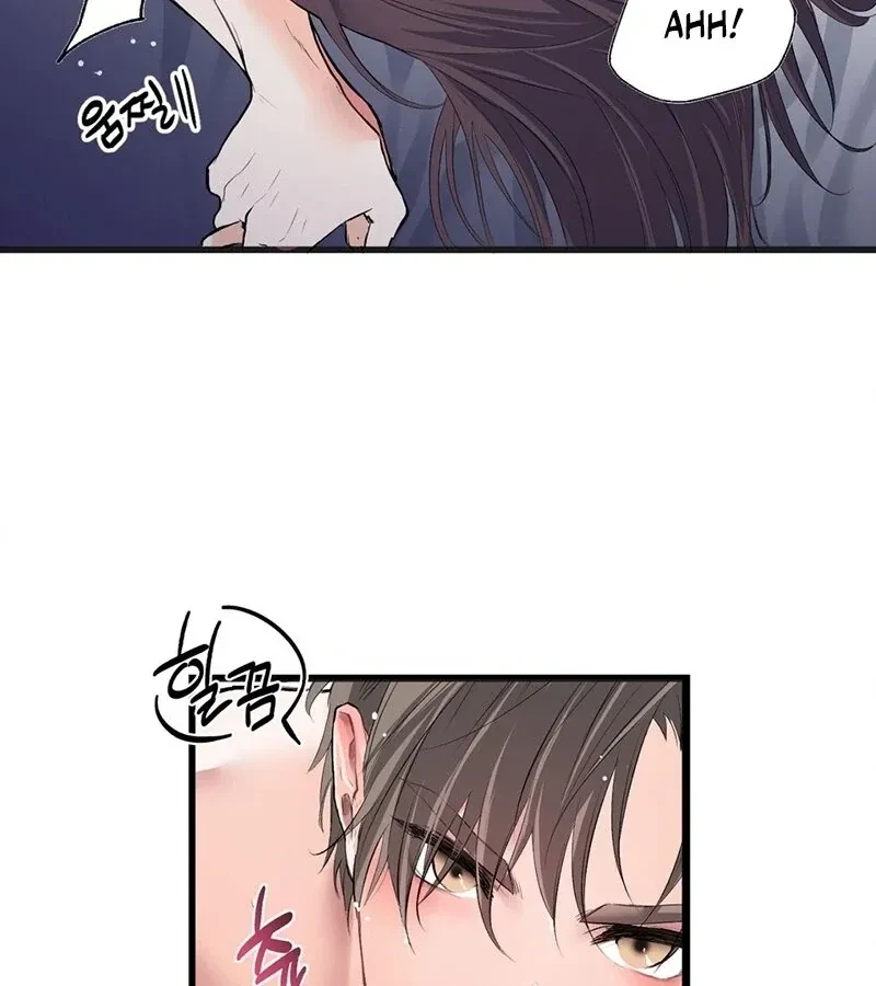 Chapter 1, page 15