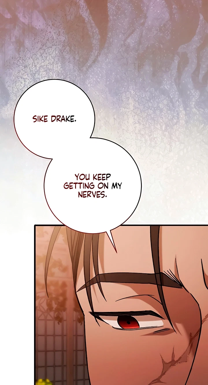 The Pirate's Slave Bride Chapter 11, page 29