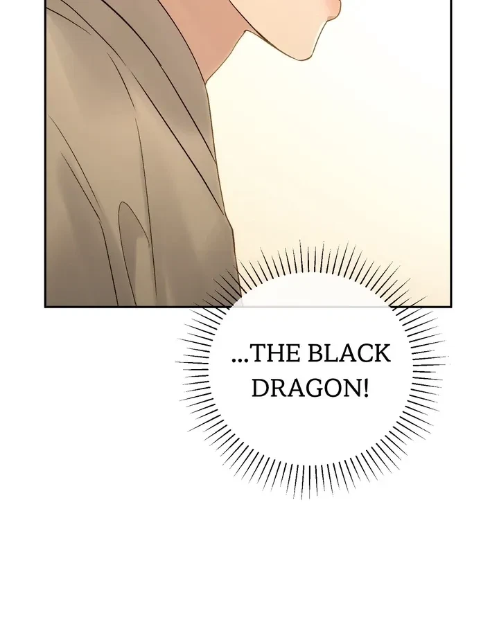 Chapter 63, page 68