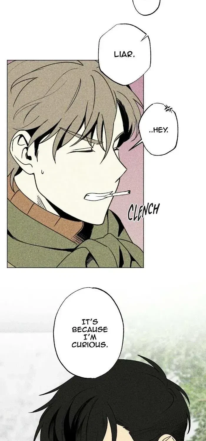 Chapter 1.1, page 42