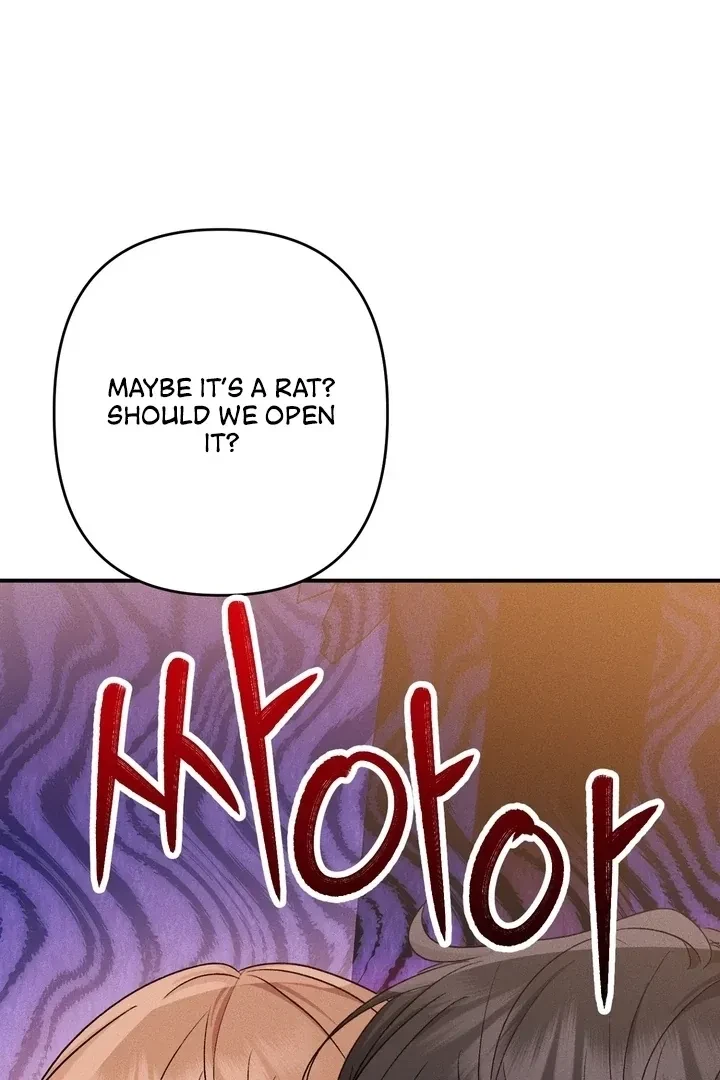 Chapter 3, page 22