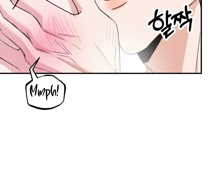 Chapter 3, page 28