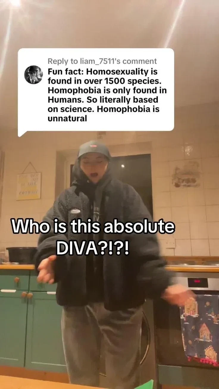Extra. : Memes, page 6