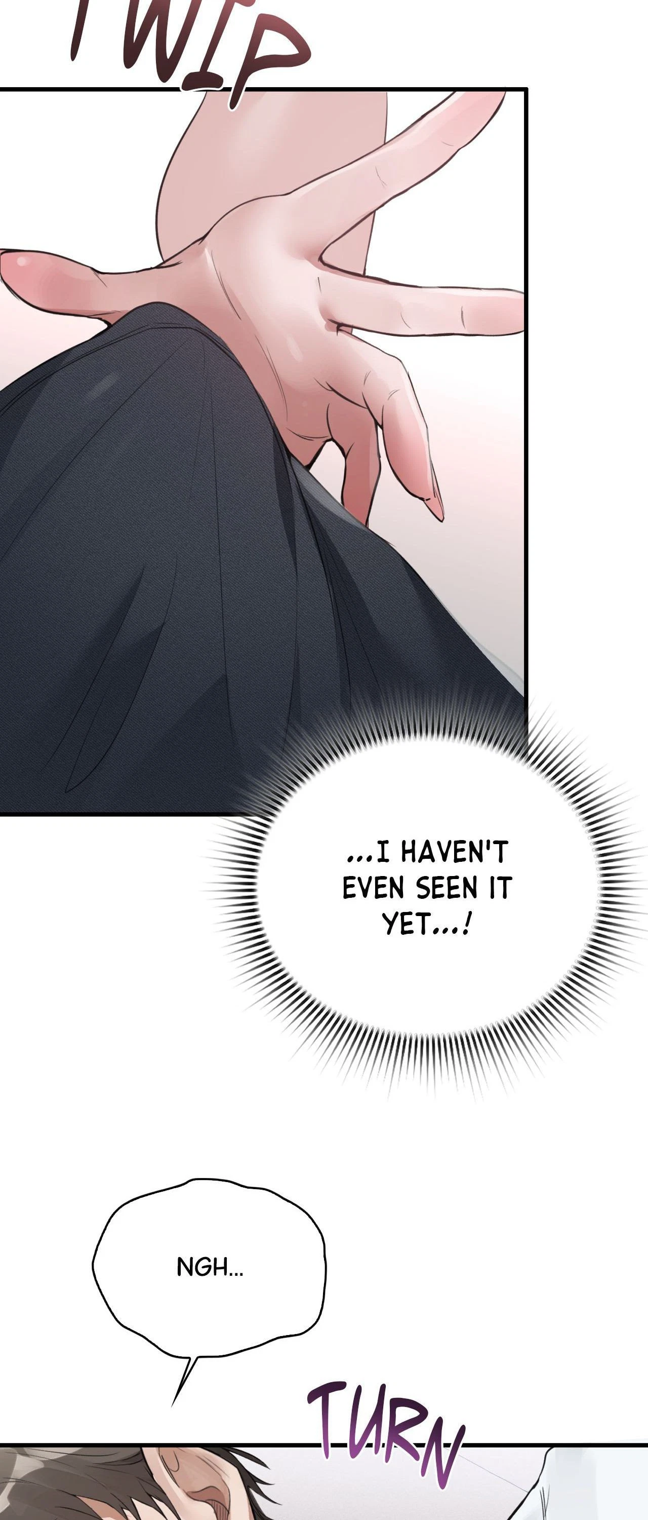 Chapter 2, page 33