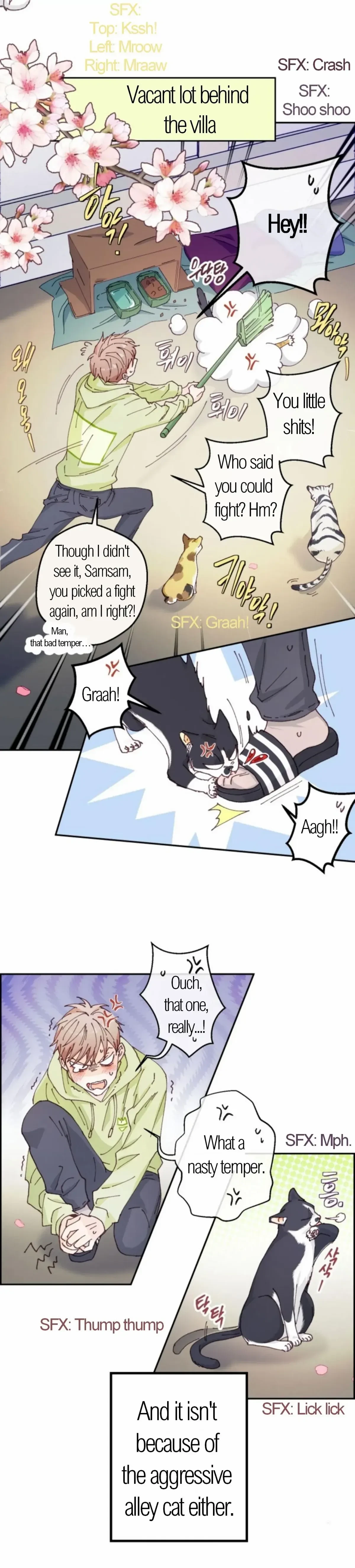 Chapter 1, page 6