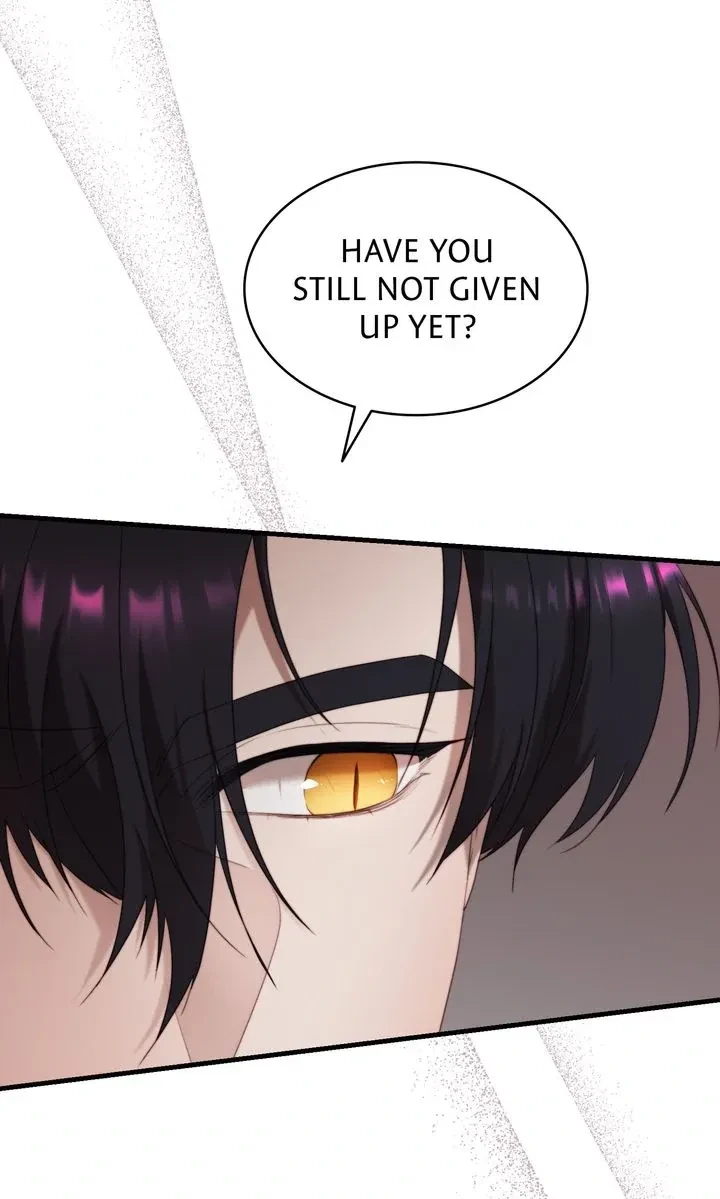 Chapter 3, page 92