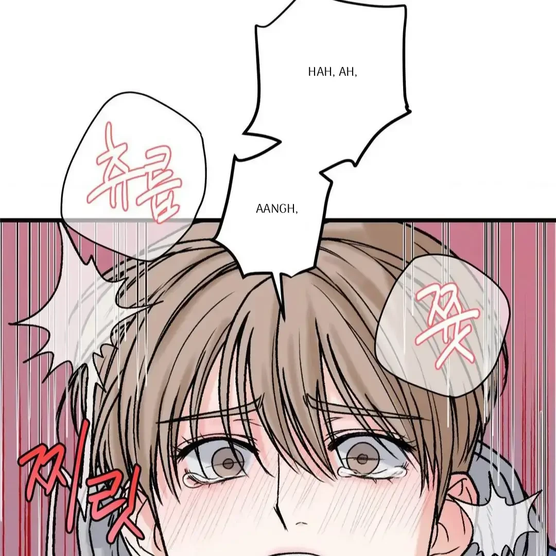 Chapter 13, page 91
