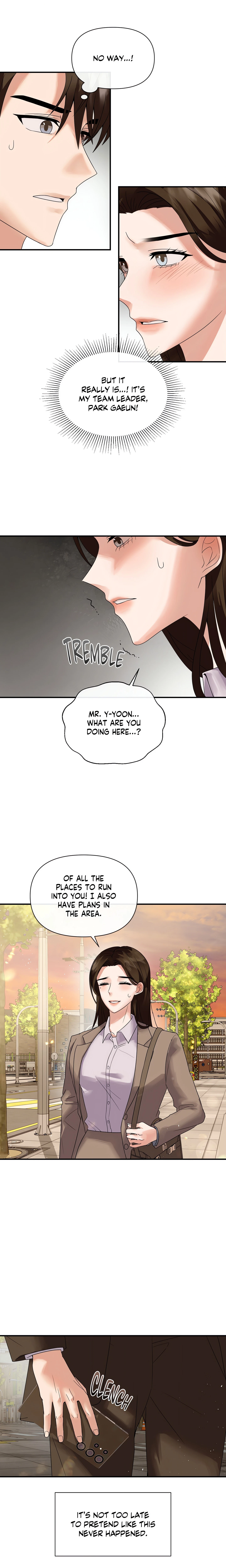 Chapter 1, page 17