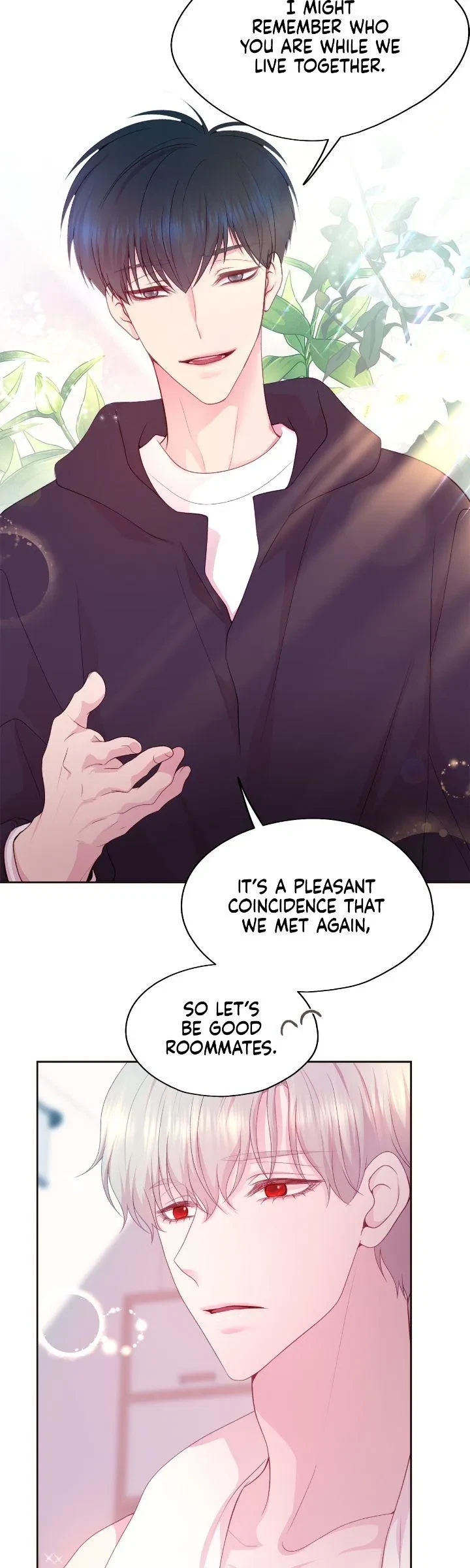 Chapter 2, page 13