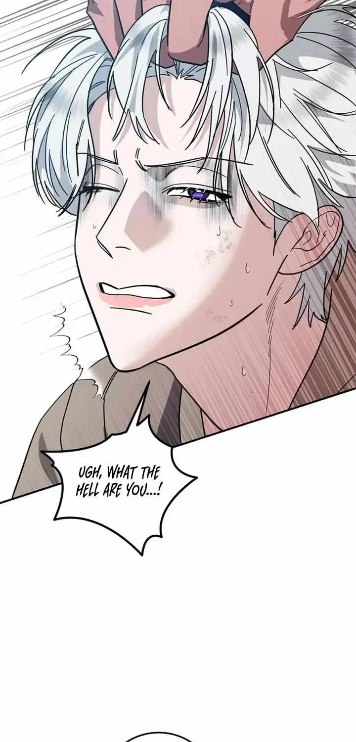 Chapter 1.1, page 47