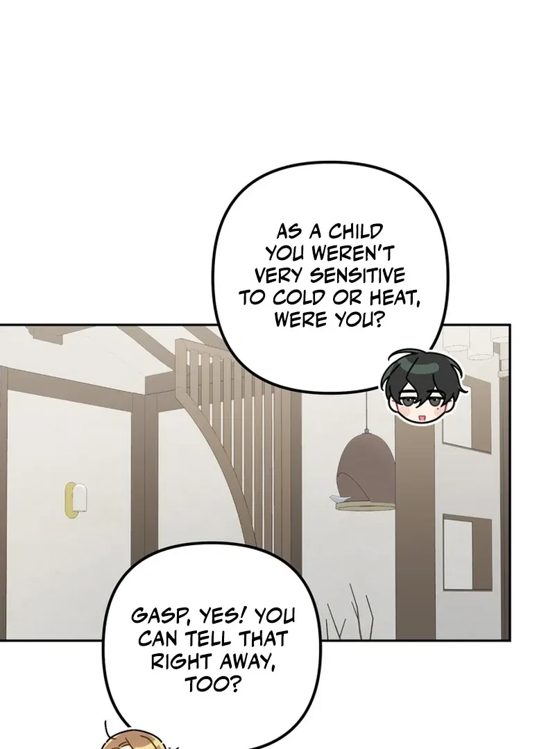 Chapter 2, page 29