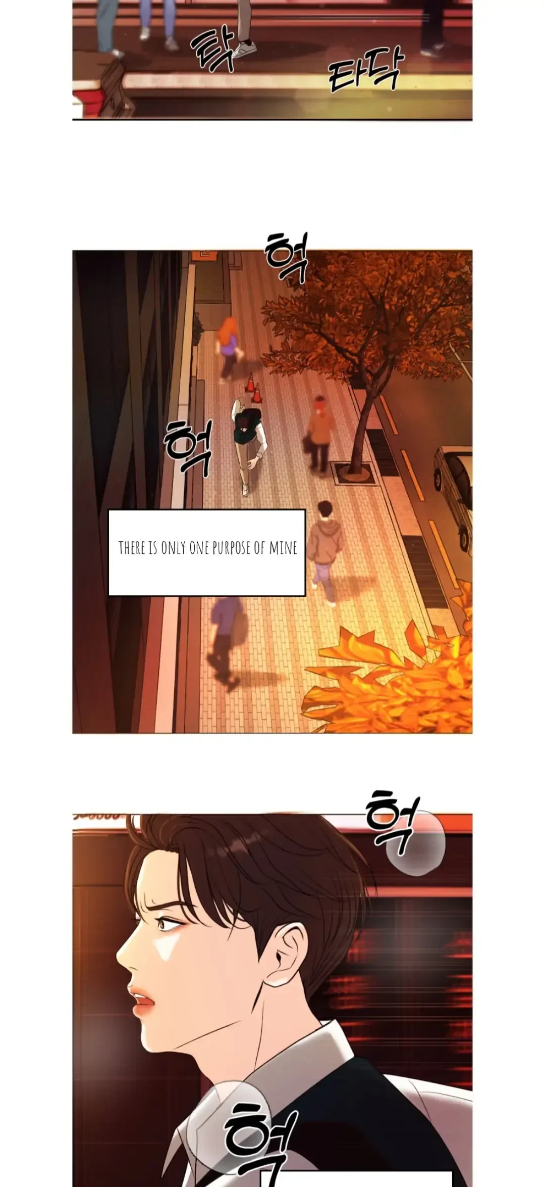 Chapter 1, page 29