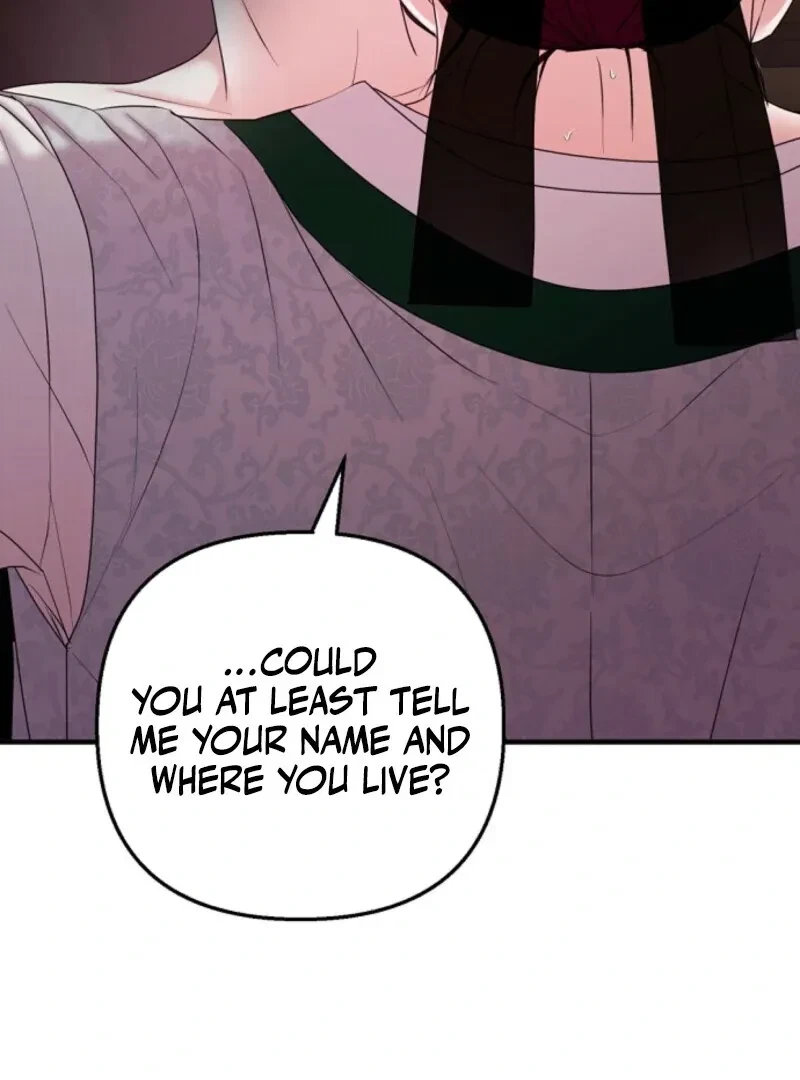 Chapter 3, page 19