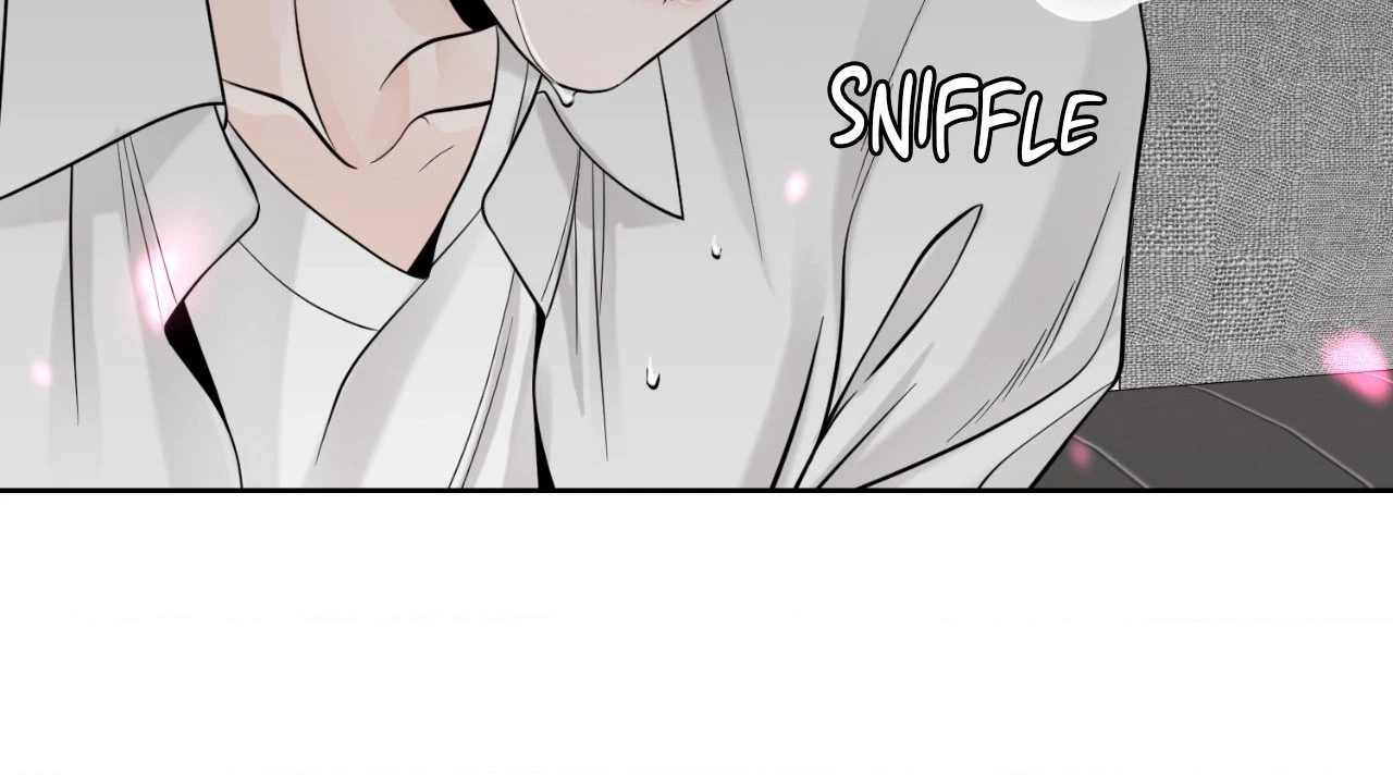 The Alpha's Mate Chapter 48, page 102