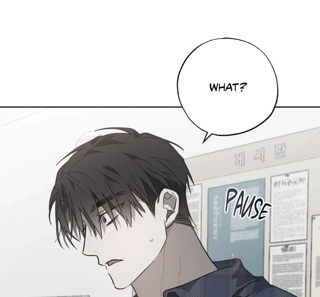 Chapter 5, page 17