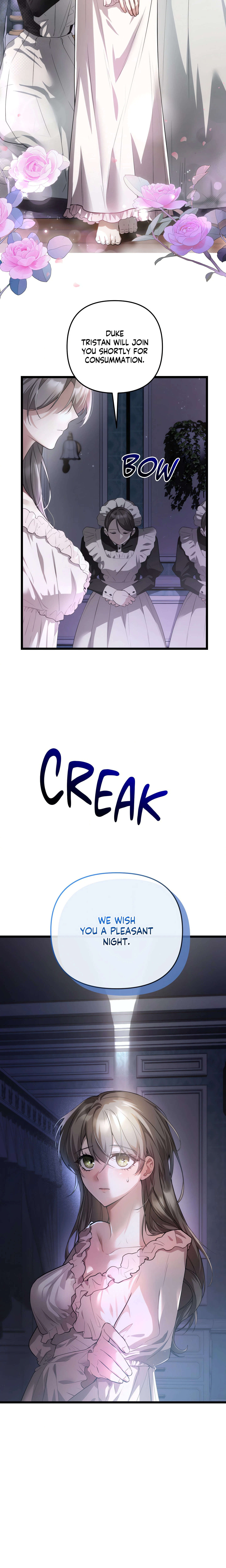 Chapter 1, page 13