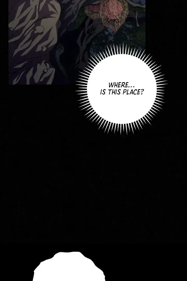 Chapter 1.3, page 31