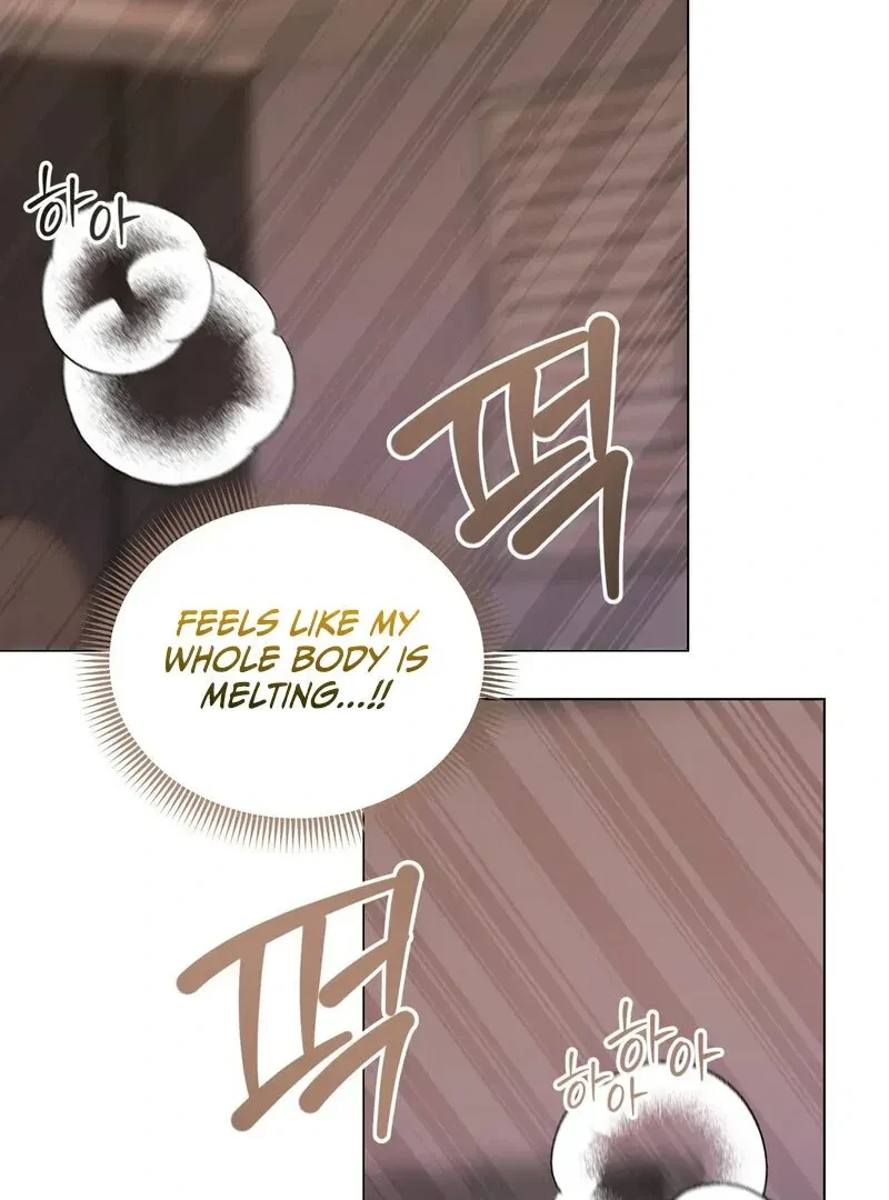 Chapter 4, page 62