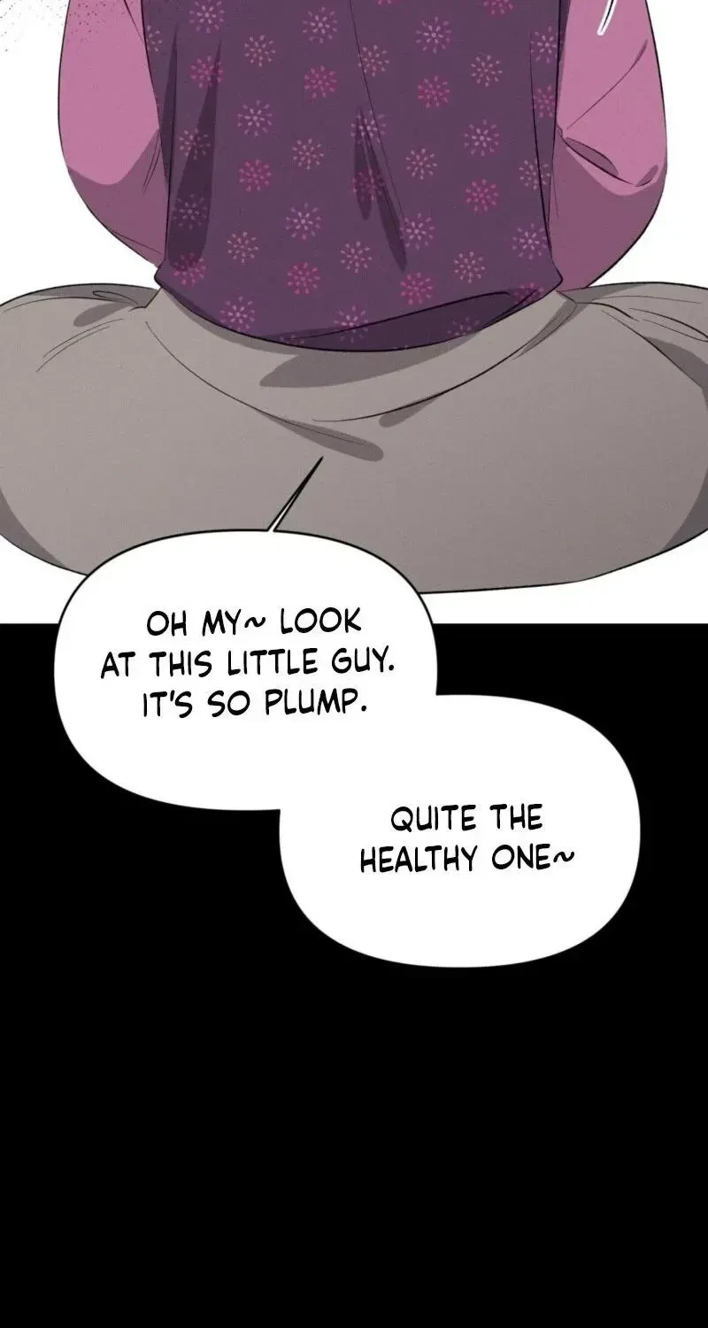 Chapter 2, page 24