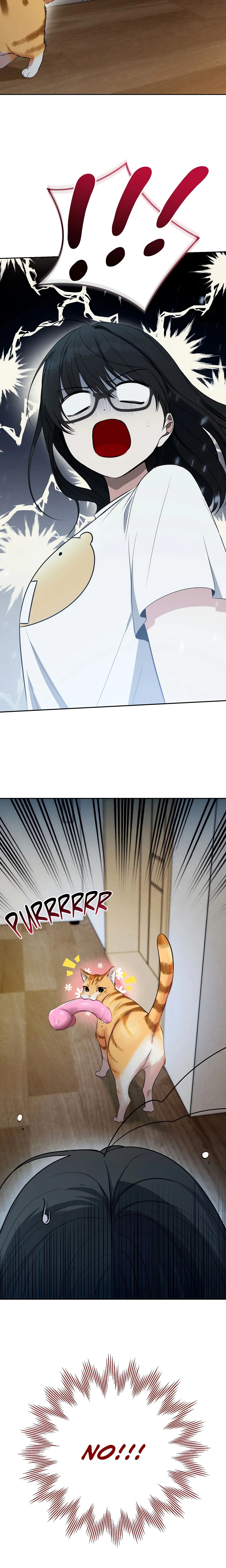 Chapter 3, page 25