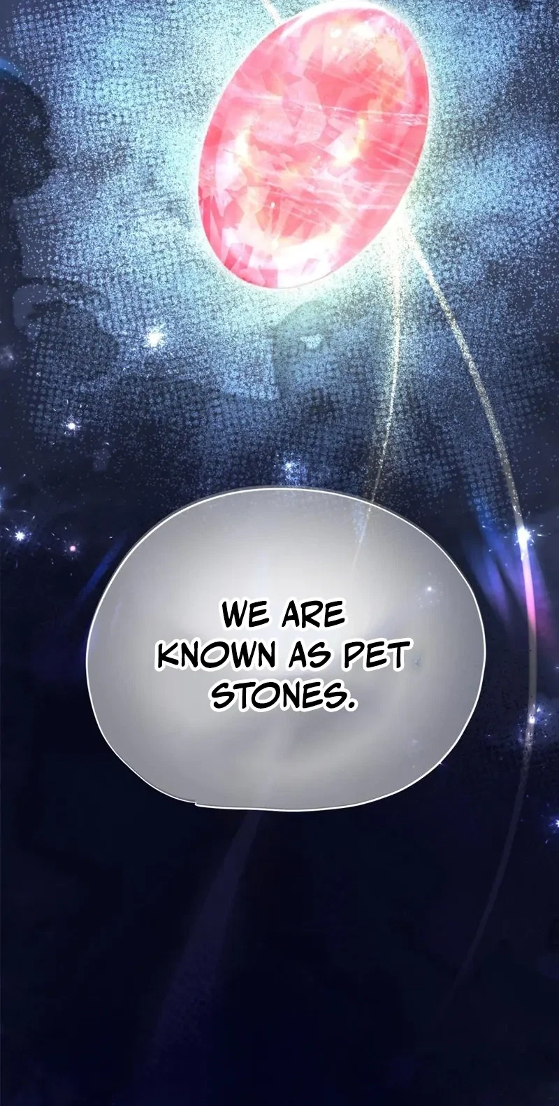 Chapter 2, page 25